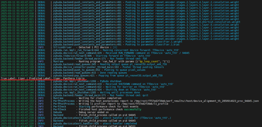 Running ResNet Model with TT-Buda on Tenstorrent hardware - Console Output