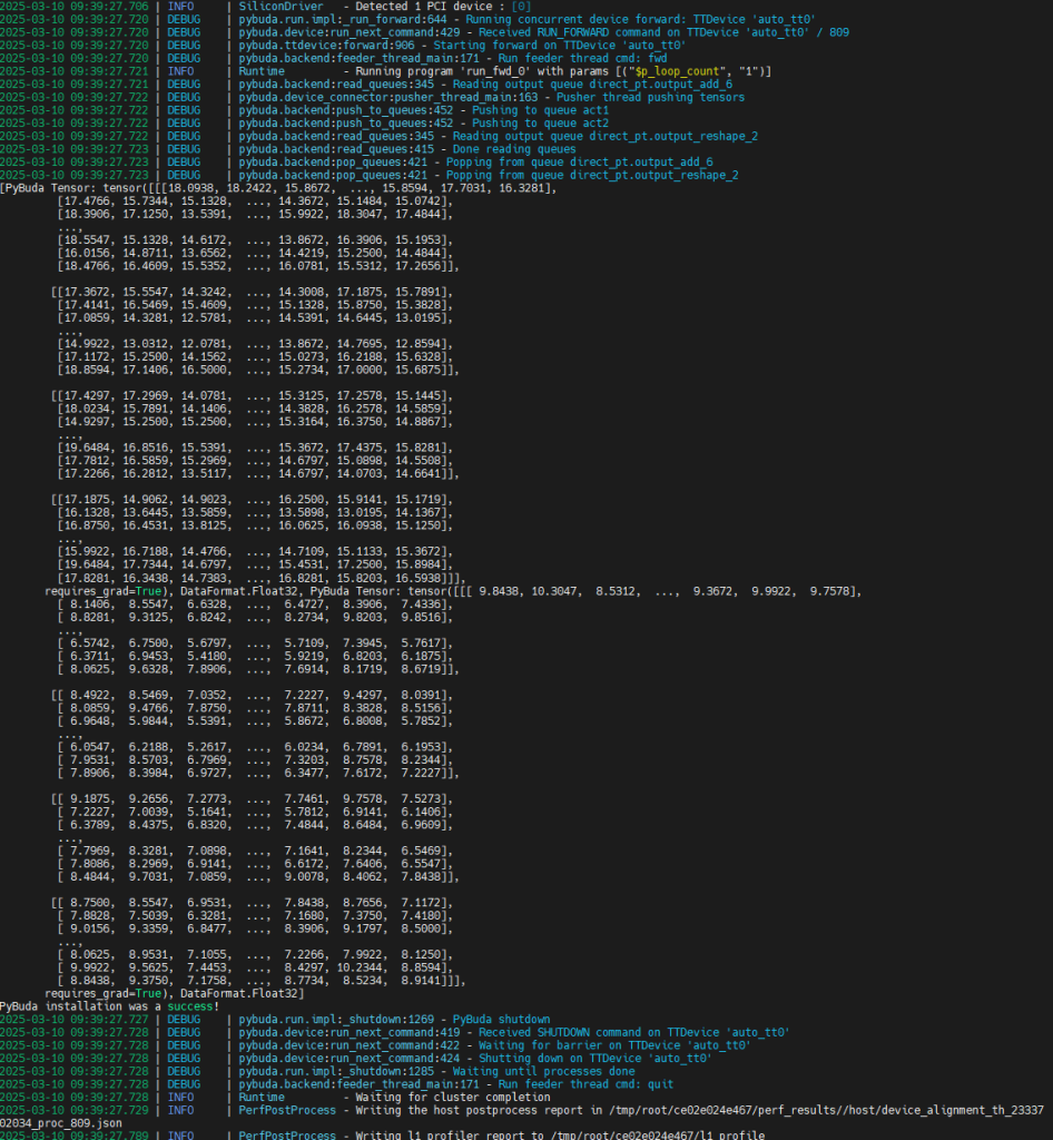 Tenstorrent TT-Buda Installation process step-by-step guide